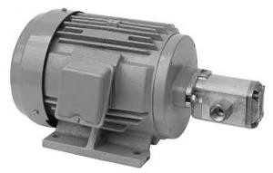 Daikin Gabon  MFP100/1.2-2-0.4-10   MFP100 Series Motor Pump