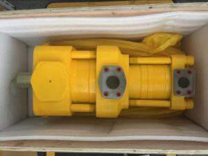 Sumitomo QT6143-200-20F Double Gear Pump