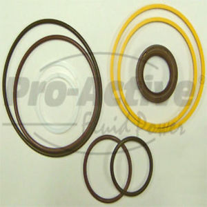 Vickers Luxembourg  2520V Vane Pump  Hydraulic Seal Kit   919303