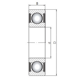 Ball Bearings 6312-2RS CX