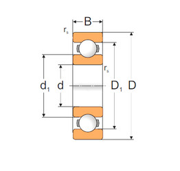 Ball Bearings 6314 MPZ