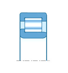 Roller Bearings RNUJ2224 NTN