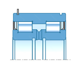 Roller Bearings SL06-026 NTN