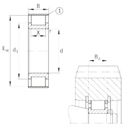 Roller Bearings RSL182208-A INA