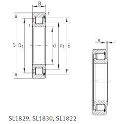 Roller Bearings SL1818/500-E INA