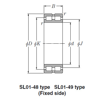 Bearing SL02-4934