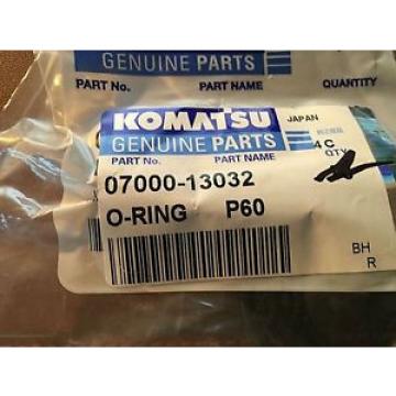 Genuine Brazil  Komatsu Parts 0700013032