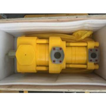 Sumitomo QT2222-4-6.3-A Double Gear Pump