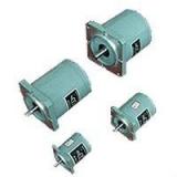 TDY Benin  series 70TDY060-7  permanent magnet low speed synchronous motor