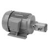 Daikin Malawi  MFP100/4.3-2-0.75-10  MFP100 Series Motor Pump #1 small image
