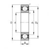 Ball Bearings 6310-2RSR FAG