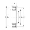 Roller Bearings SL1818/1000-E-TB INA