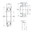 Ball Bearings 6310N NSK