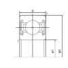 Ball Bearings 6310-2NSE NACHI