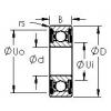 Ball Bearings 6310ZZ AST