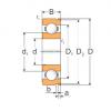 Ball Bearings 6310N MPZ