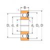 Ball Bearings 6314-Z MPZ