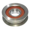 Ball Bearings 63131-11120-71 FBJ