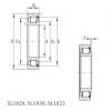 Roller Bearings SL1818/500-E INA