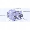 Dansion African  piston pump Gold cup P7P series P7P-5R1E-9A8-A00-0A0 #2 small image
