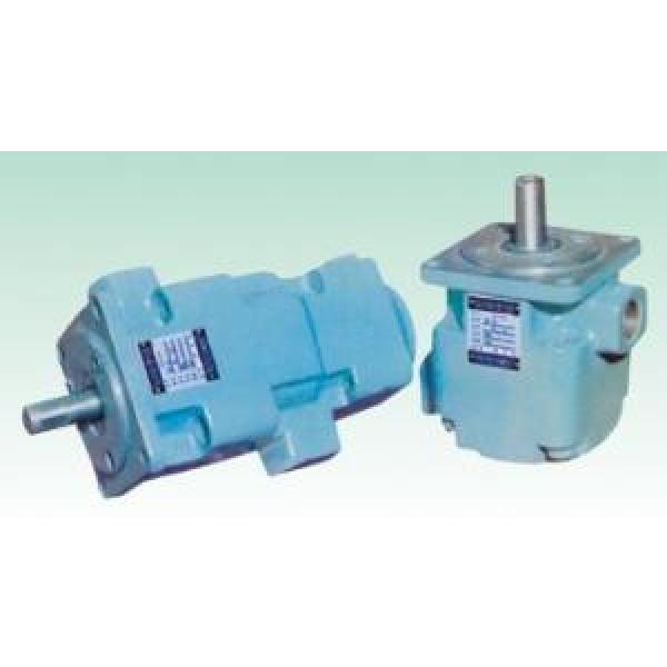 YB1 Hongkong  Series fixed displacement pump #1 image