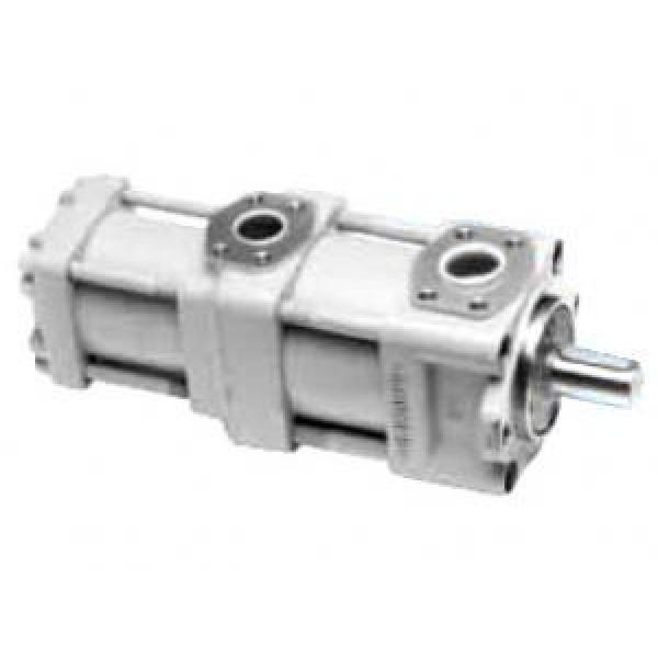 QT5333-40-12.5F Seychelles  Australia QT Series Double Gear Pump #1 image