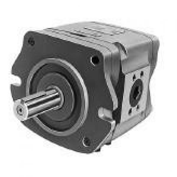 NACHI Afghanistan  India IPH-6A-80-11 IPH SERIES IP PUMP #1 image