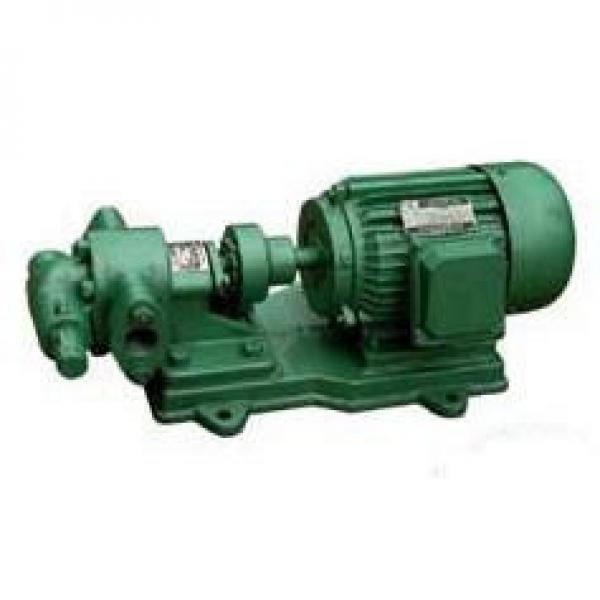 KCB/2CY Namibia  India Series Gear Pumps #1 image
