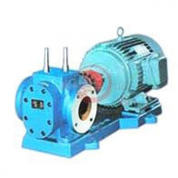 RCB Finland  India Series Insulation Gear Pumps #1 image