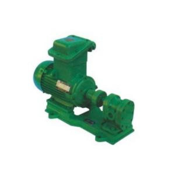 2CY/KCB Zambia  seriel Chemical Gear Pump for Oil Industrial #1 image