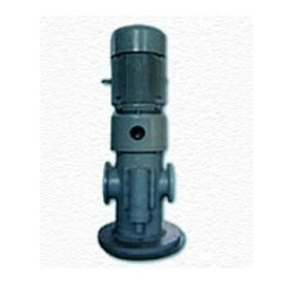 3GL New Zealand  type screw pump (vertical) #1 image