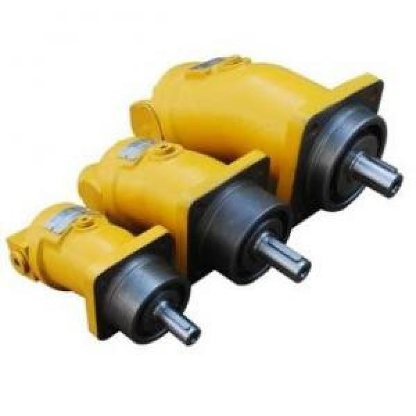 A2F10W2S2 A2F Series Fixed Displacement Piston Pump #1 image