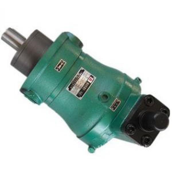 16YCY14-1B  high pressure piston pump #1 image