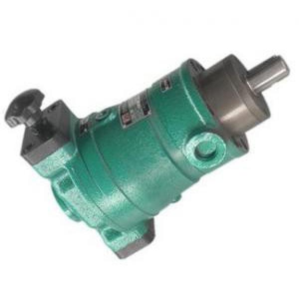 100SCY14-1B  axial plunger pump #1 image