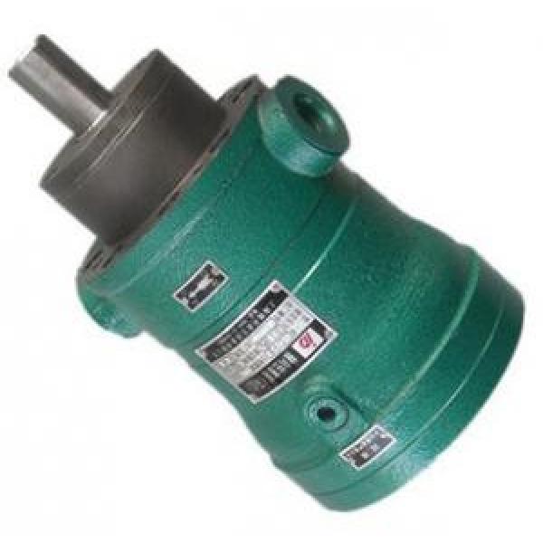 100MCY14-1B  fixed displacement piston pump #1 image