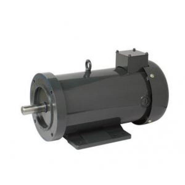 150ZYT Zaire  Series Electric DC Motor 150ZYT180-1100-1750 #1 image