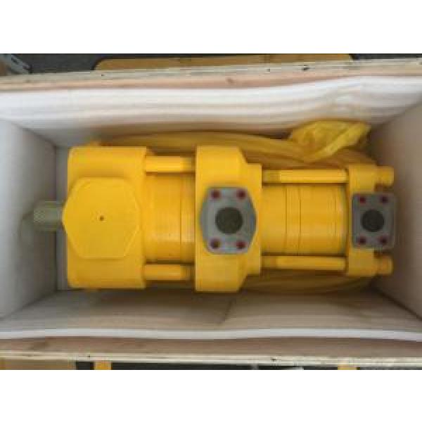 Sumitomo QT2222-4-4-A Double Gear Pump #1 image