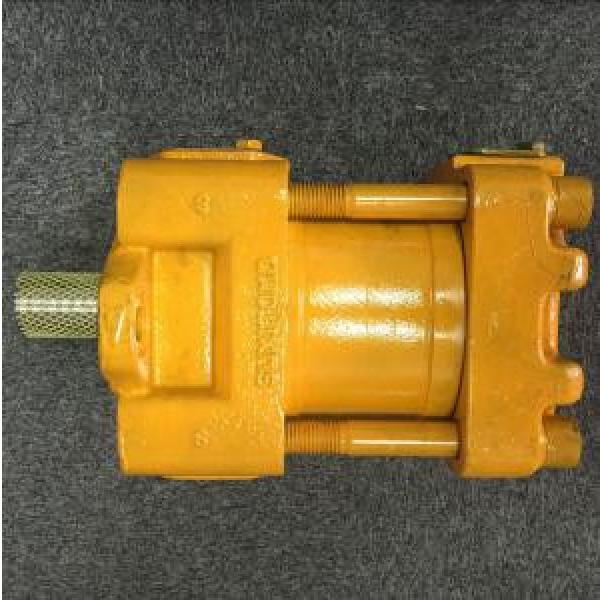 Sumitomo QT Series Single Gear Pump #3 image