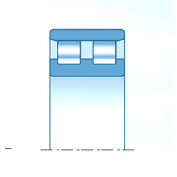 Roller Bearings RR0407 NTN #1 image