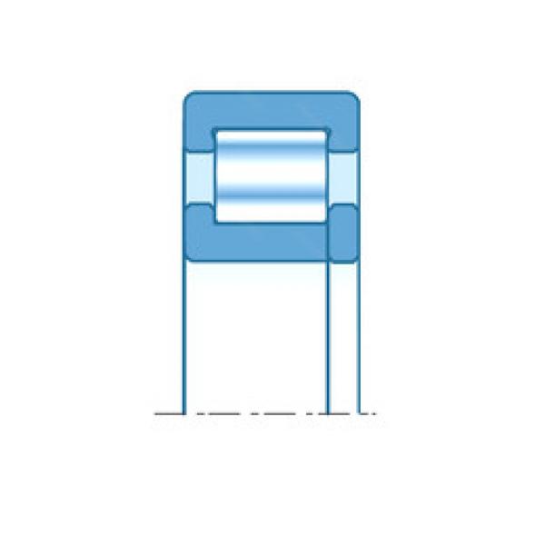 Roller Bearings RNUP1012 NTN #1 image