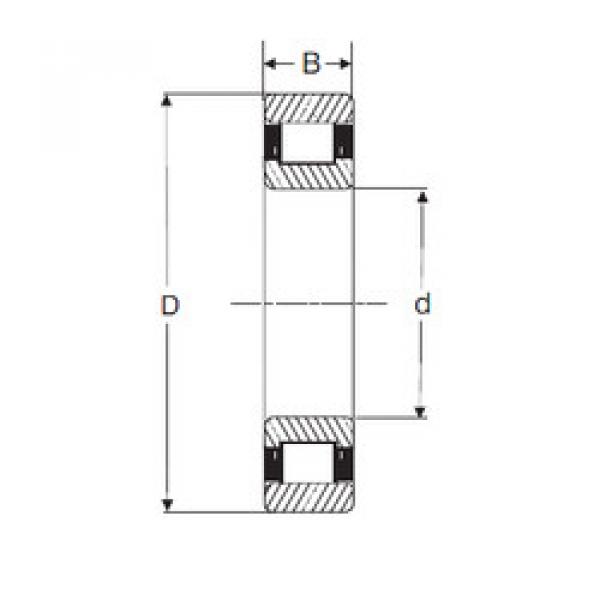 Roller Bearings RXLS 1.1/2 SIGMA #1 image