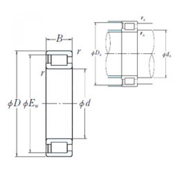 Roller Bearings SC050615VC3 KOYO #1 image