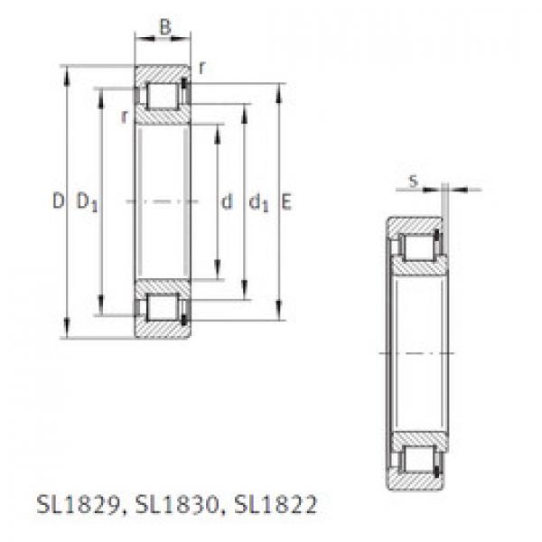 Roller Bearings SL1818/500-E INA #1 image