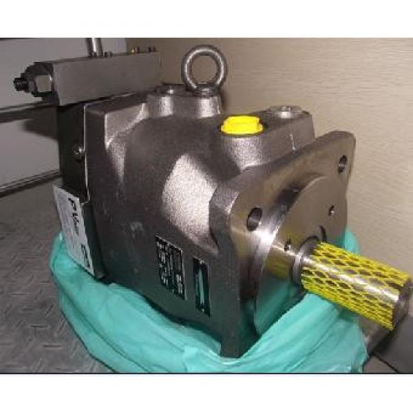 Plunger PV series pump PV10-1L1D-C00 #1 image