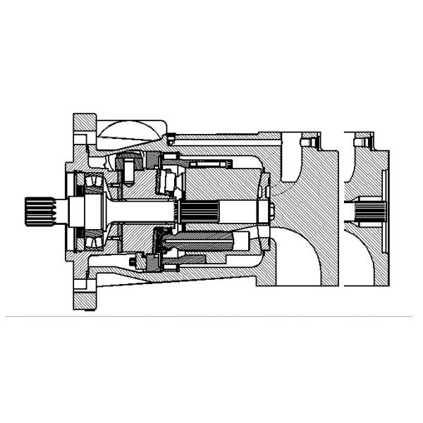 Dansion Monaco  P080 series pump P080-06L1C-C2J-00 #2 image